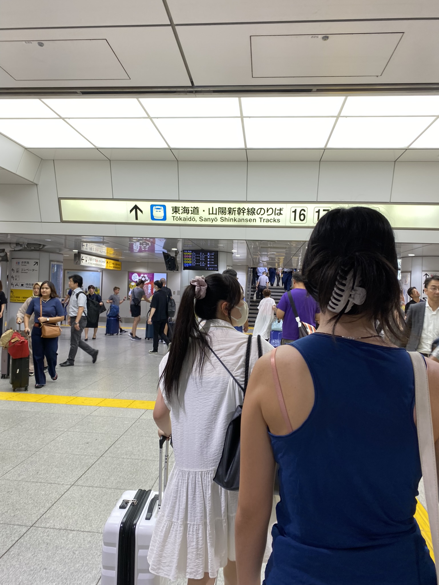 Viaje a Kyoto 2 – Desde Tokyo a Kyoto, viaje en 48 horas