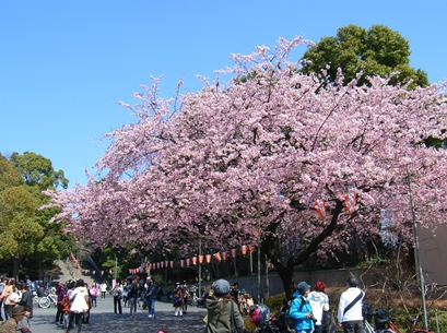 uenokoen parque ueno