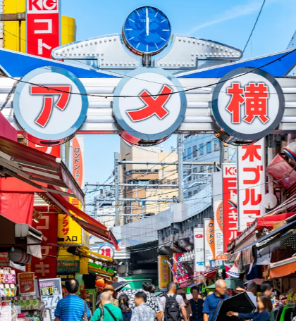 Visita a la zona de Okachimachi y Akihabara