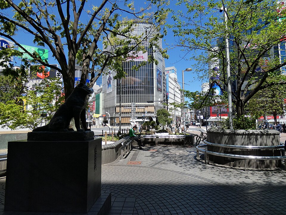 hachiko