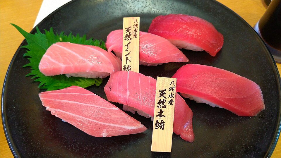 maguro