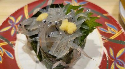 shirasu