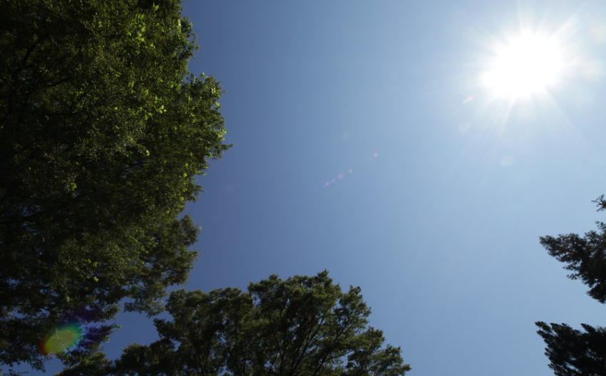 ¡Qué calor! Artículos imprescindibles para el verano en Japón